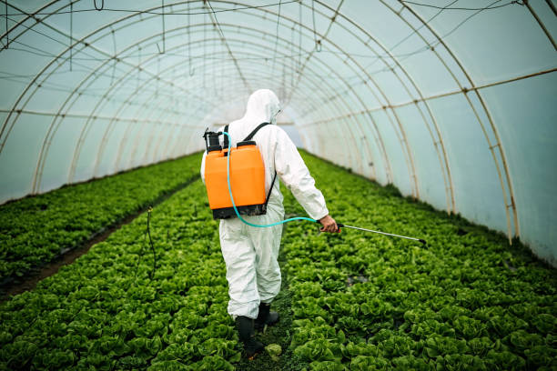 Best Affordable Pest Control Services  in Ontario, OR
