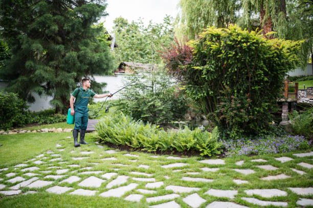 Reliable Ontario, OR Pest Control Solutions