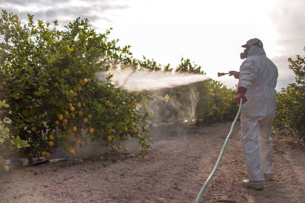 Best Residential Pest Control  in Ontario, OR