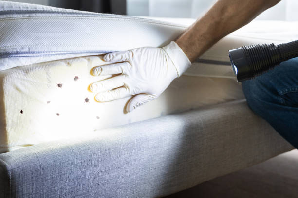 Best Pest Removal Services  in Ontario, OR