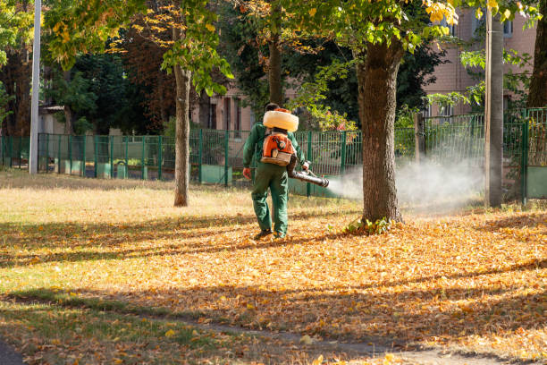 Best Pest Control for Homes  in Ontario, OR