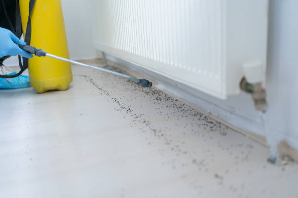  Ontario, OR Pest Control Pros