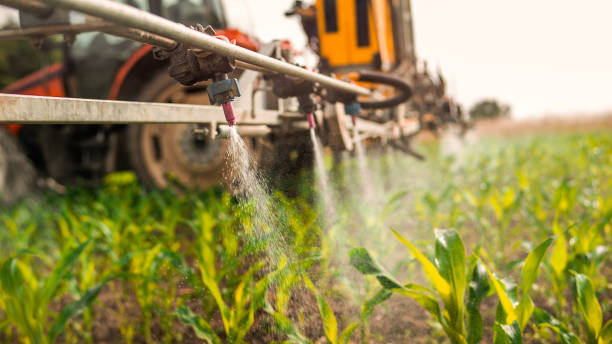 Best Commercial Pest Control Services  in Ontario, OR