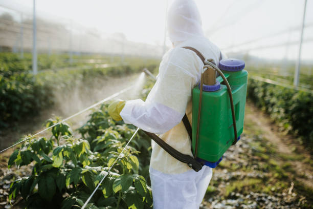 Best Best Pest Control Companies  in Ontario, OR